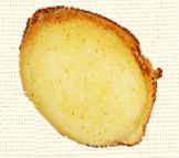 レモンケーキ